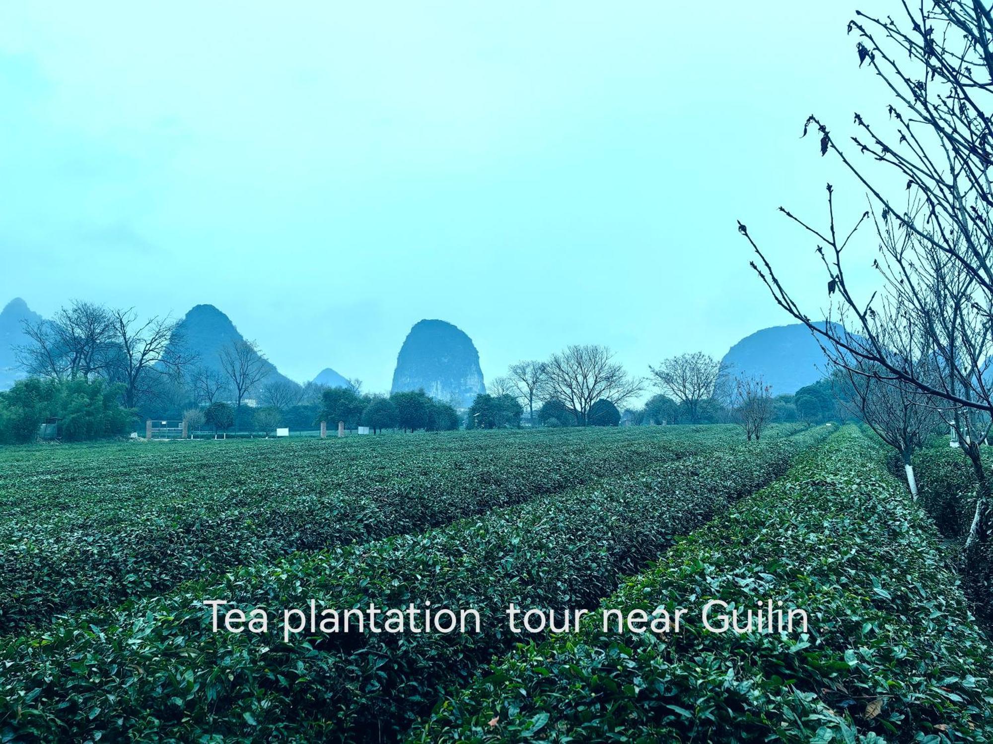 Guilin Village Creek Inn-Free Private Car Pick Up Station Stay 3 Nights Εξωτερικό φωτογραφία