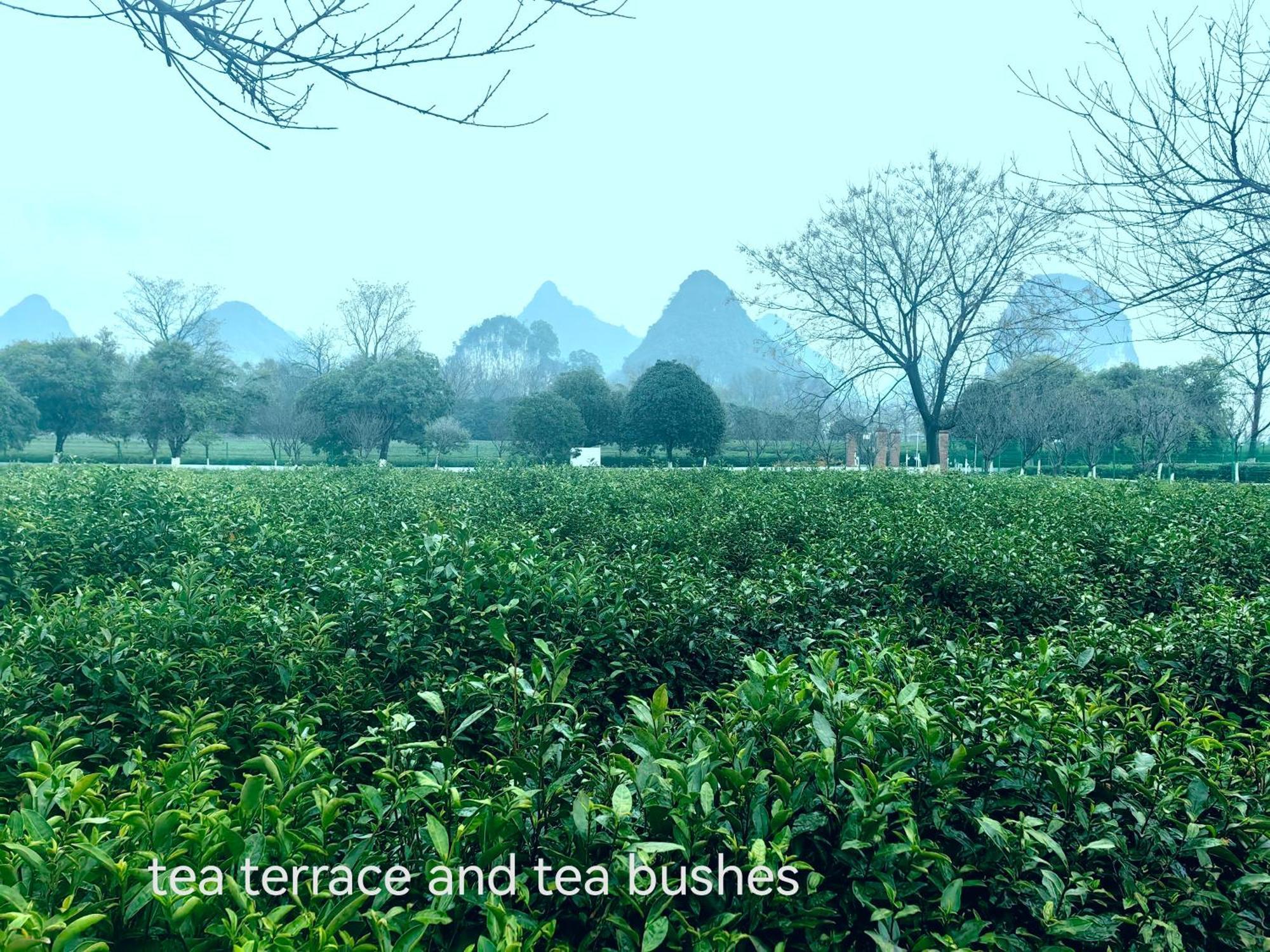 Guilin Village Creek Inn-Free Private Car Pick Up Station Stay 3 Nights Εξωτερικό φωτογραφία
